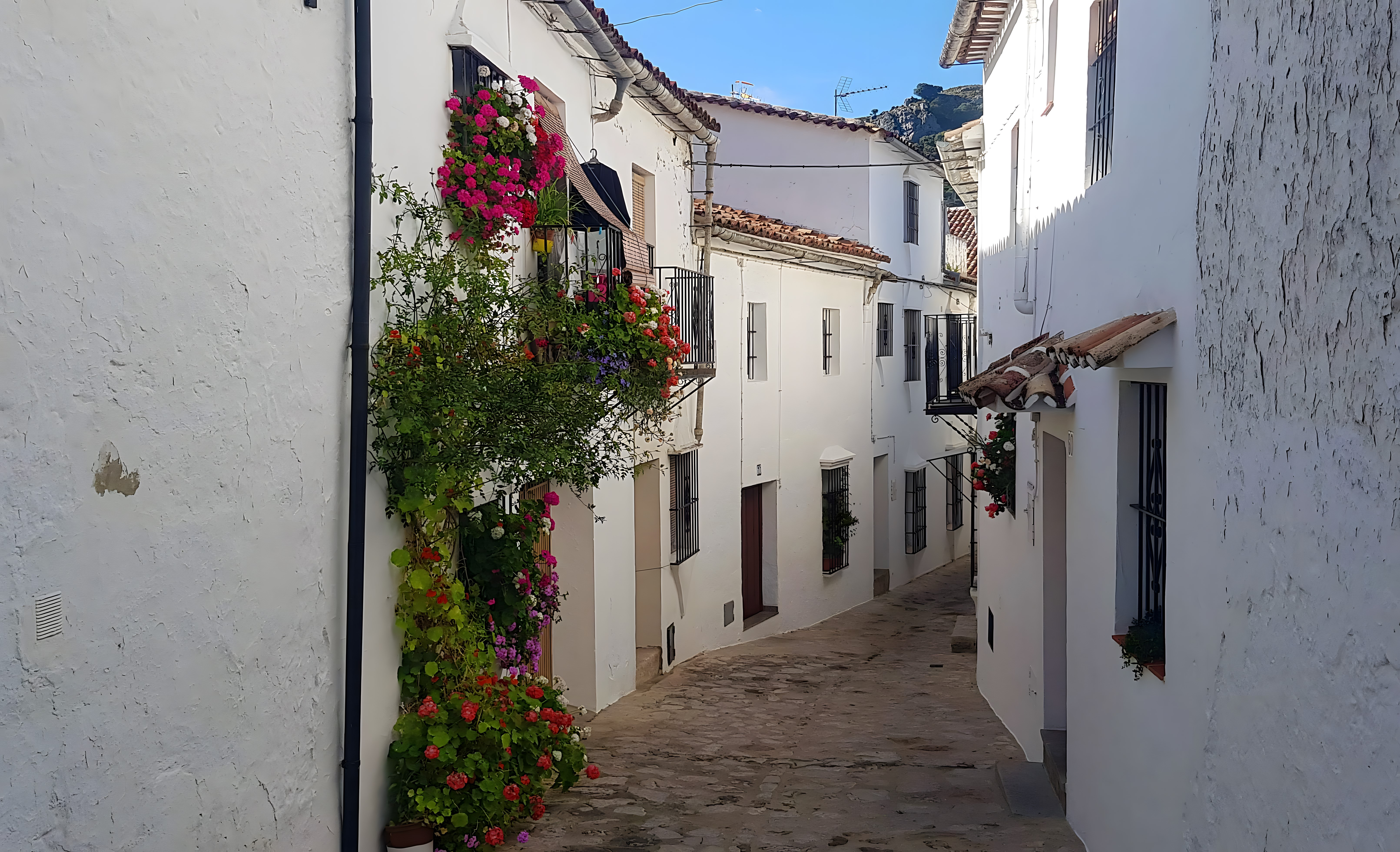Tras las huellas del bandolerismo en la Sierra de Cádiz