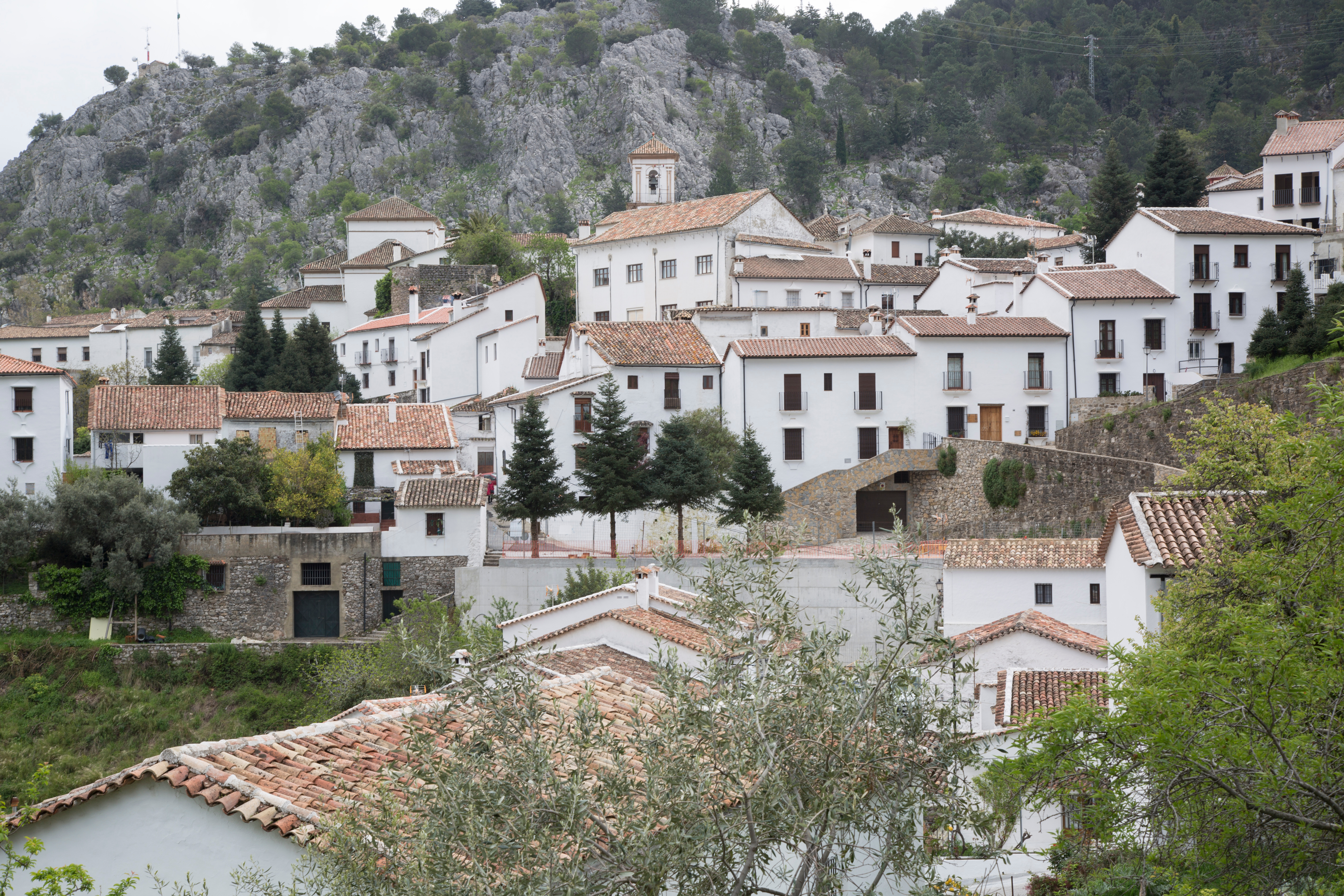 Parque Natural Sierra de Grazalema