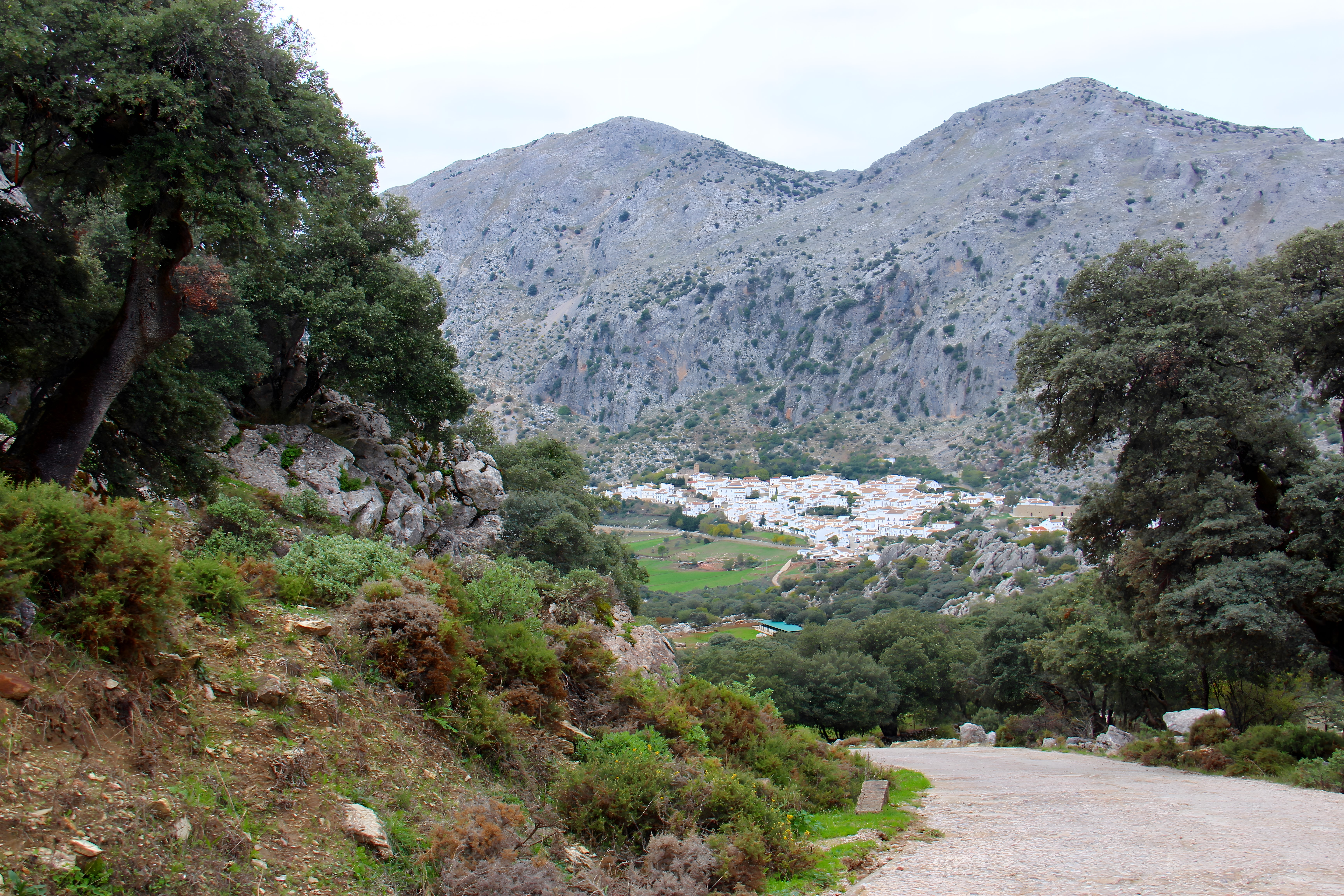 Ruta de las Panorámicas